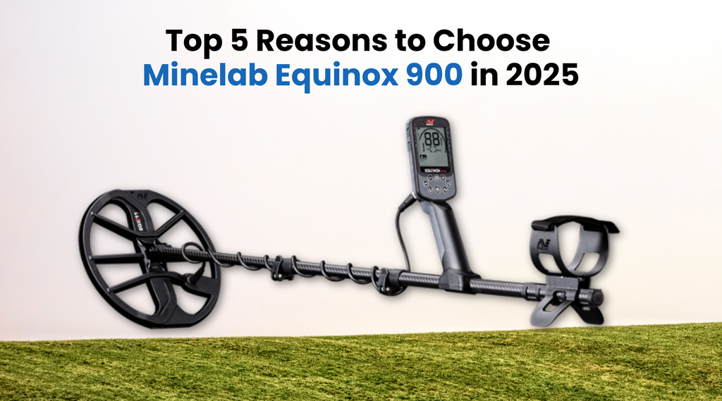 5 Reasons Why Minelab Equinox 900 Stands Out in 2025