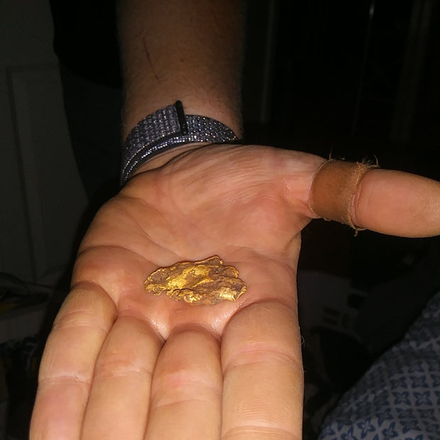 Gold Metal Detector finds a gold nugget