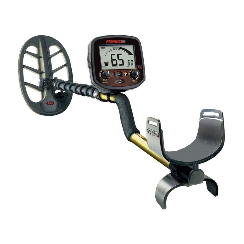 Fisher F19 11DD Metal Detector